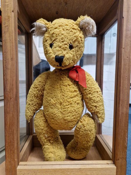 Yellow teddy bear in a wooden case