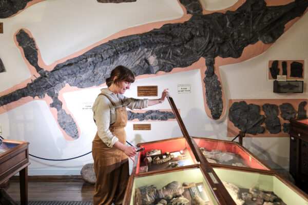 lady opening the lid of a glass case surrounded by fossils with a large icthyosaur behind.